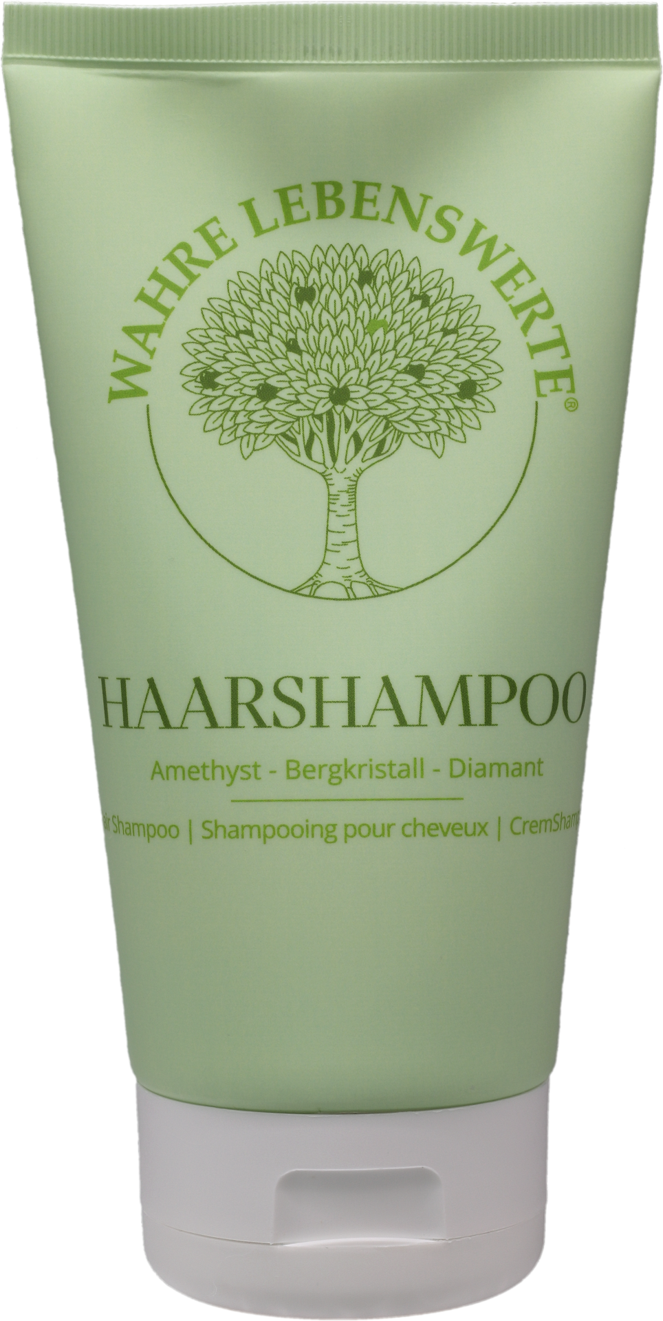 Shampoo